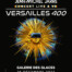 jean-michel-jarre-concert-live-vesailles-400
